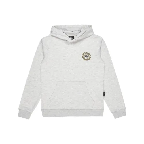 Quiksilver Серый Школьный возраст Свитшот