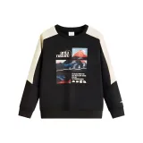 Мечтательный черный