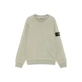 Шалфей Зеленый