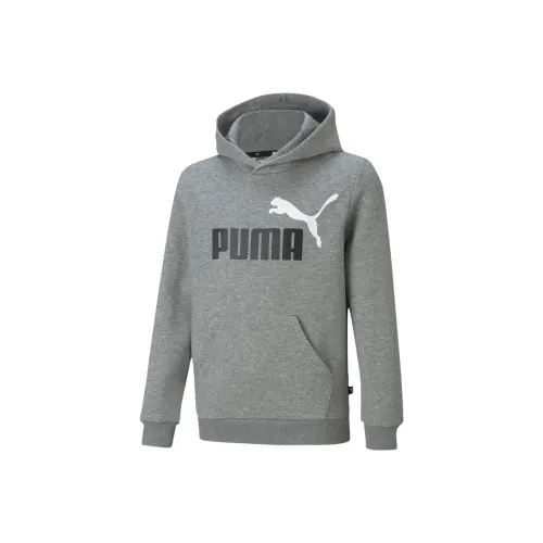 PUMA Свитшот с капюшоном двухтоновый с большим логотипом детская серый