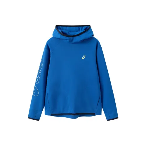 ASICS Синий Унисекс Свитшоты