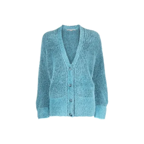 STELLA MCCARTNEY Синие Женские Свитеры