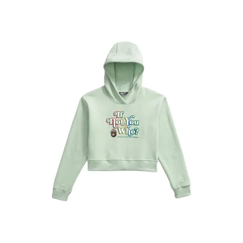 THE NORTH FACE Женский Camp Fleece Пуловер Толстовка Толстовка Детский Прозрачный Лаймово-зеленый