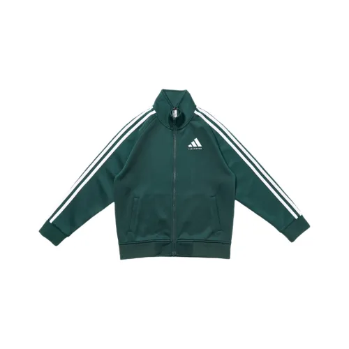 Adidas Куртки Пальто TR30JTK DGNW Для детей от 3 до 7 лет