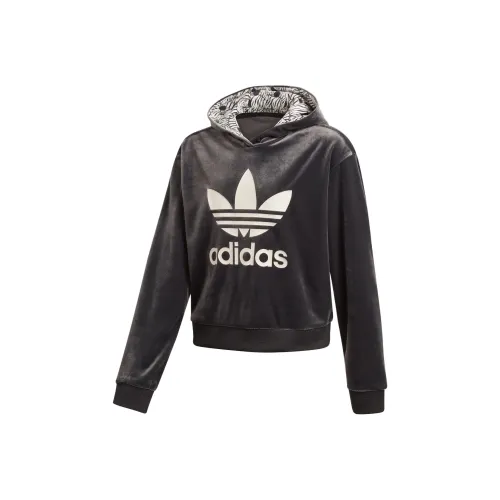 Adidas Originals Свитшот Черный Темно-Кофейный Коричневый Подростки