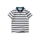 Абрикосовый