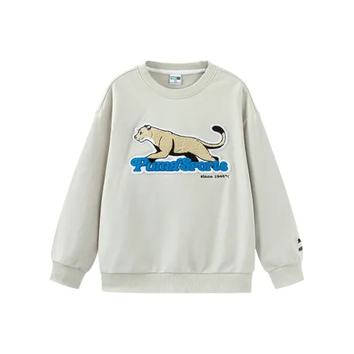 PUMA Толстовка Sportstyle Collection Graphic Светло-серый для детей 3-7 лет