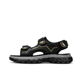 Черно-желтый