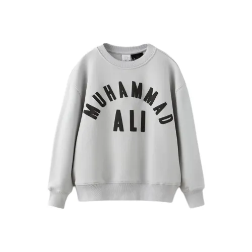 ZARA Жемчужно-серый Kids Свитшоты