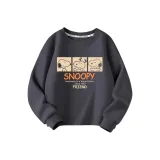 Графитно-серый трехсетчатый Nuby