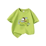 Зеленый Самолет Nubby-D Матча Зеленый