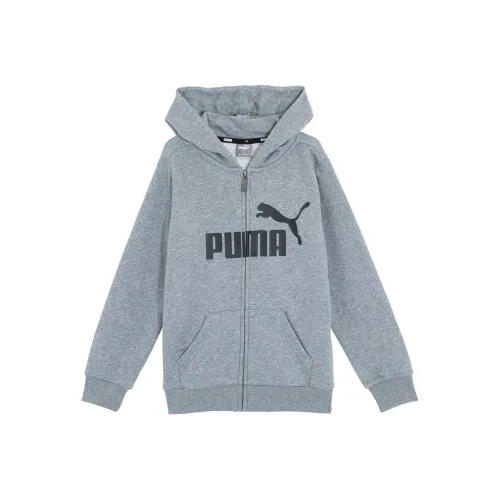 Puma ESS Серый Kids Свитшоты