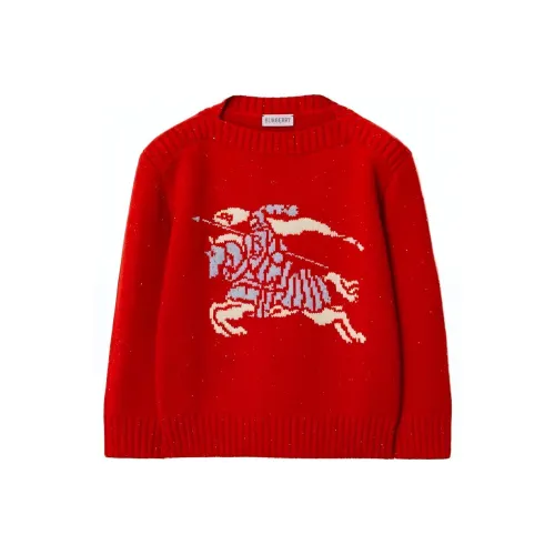 Burberry Толстовка Kids Одежда Красный Детский