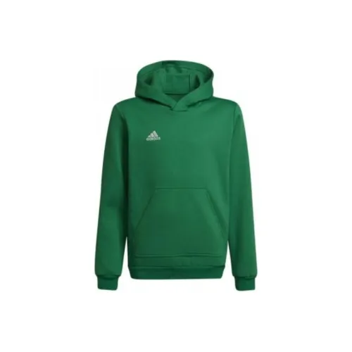 Adidas Свитшот Entrada 22 Зеленый Подростки