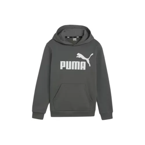 PUMA Essentials Свитшот Mineral Gray Infant и Toddler