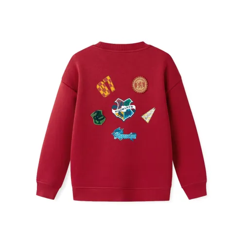 Balabala x Гарри Поттер Толстовка Подростки