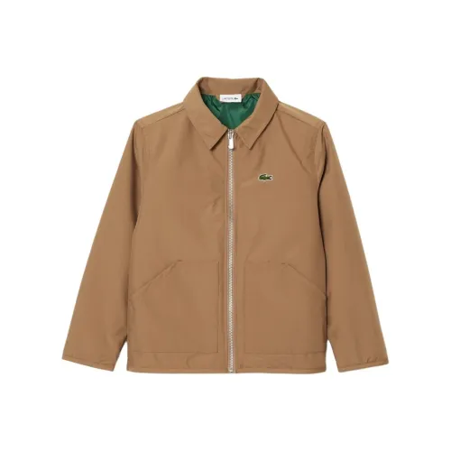 LACOSTE Куртки и Пальто Коричневый Детский