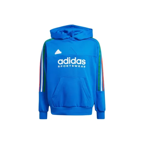 Adidas Свитшот SS24 TIRO NATIONS PACK с капюшоном синий детский