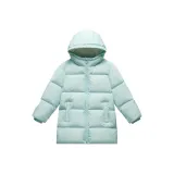 Светлый полынно-зеленый