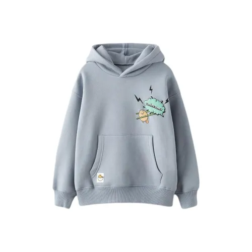 ZARA Kids Свитшоты голубо-серого цвета