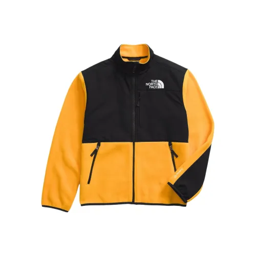 THE NORTH FACE DENALI Куртки Пальто Pinnacle Gold Подростки