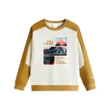 Пыльно-серый / Шампань коричневый