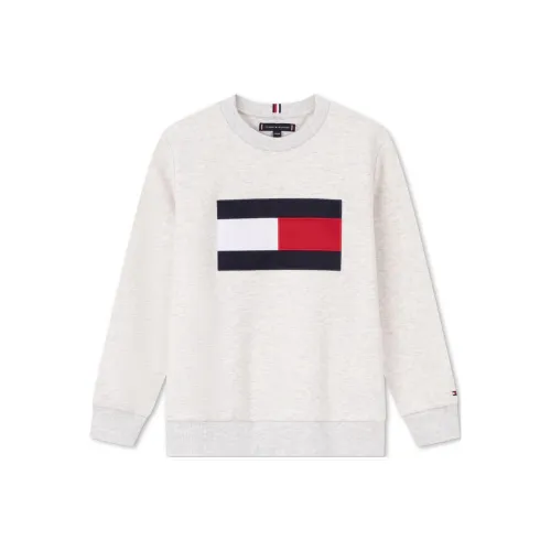 Tommy Hilfiger Серый Kids Свитшоты
