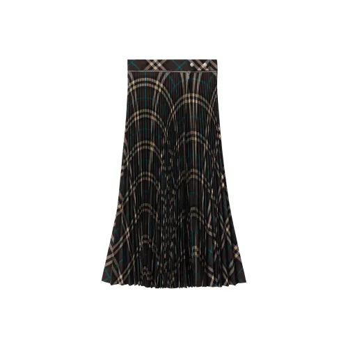 Burberry Повседневный Длинный Юбка Женские Многоцветный