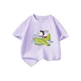 Зелёный самолёт Nubi-D, Таро фиолетовый