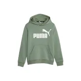 Эвкалиптовый