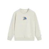 B2319 Радуга Серый