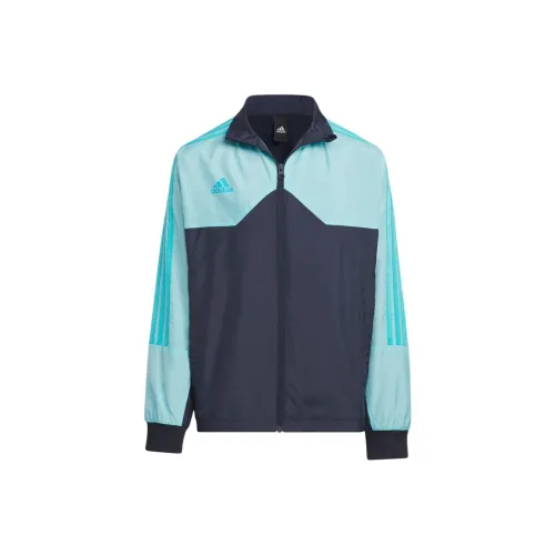 Adidas Куртки и Пальто Черный Зеленый Детский