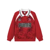 Красный цвет 00366