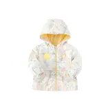 Жёлтый Белый Тон