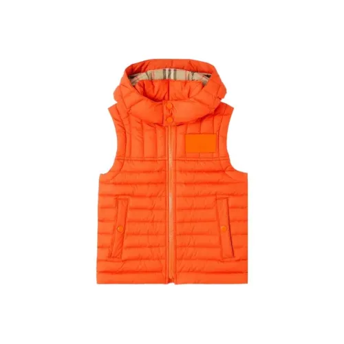 Burberry FW22 Жилет Темный Корица Детский