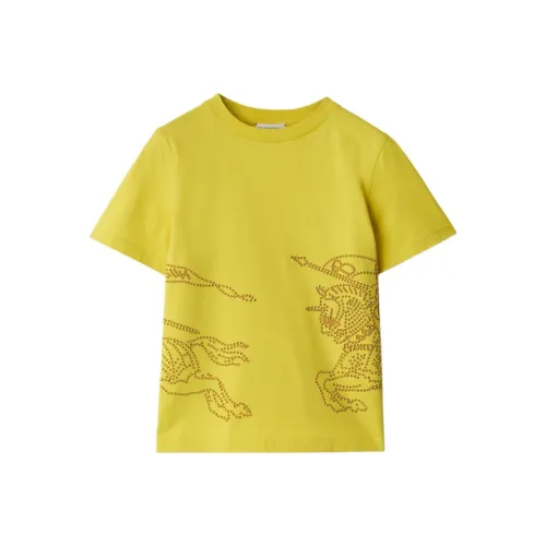 Burberry Коричнево-желтые Kids T-рубашки