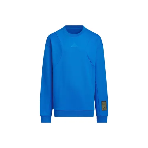 Adidas Авиационный синий Kids Свитшоты