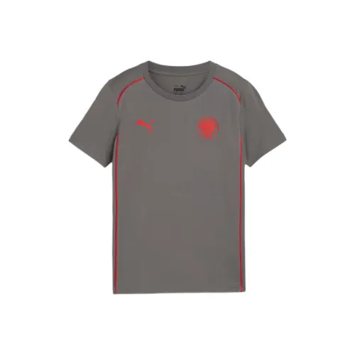 PUMA BMW T Рубашка SS24 FC St. Pauli Casuals Tee Юность Серый Подростки