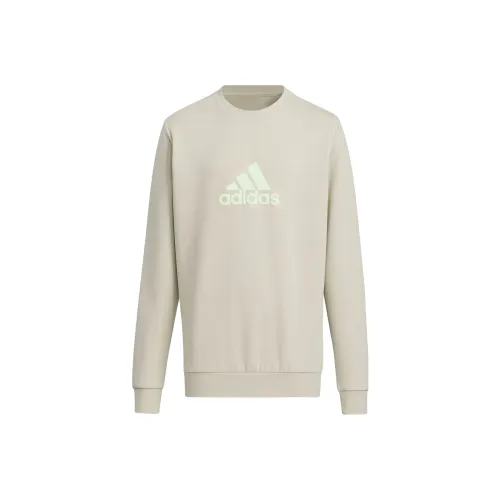 Adidas Свитшот FW23 Светло-Серый Детский