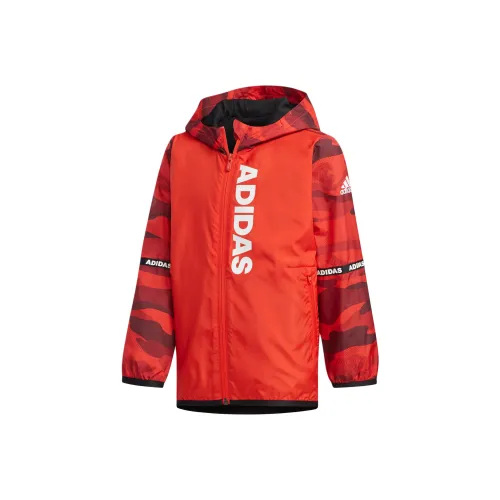 Adidas Куртки и Пальто Оранжевый Красный для детей 3-7 лет