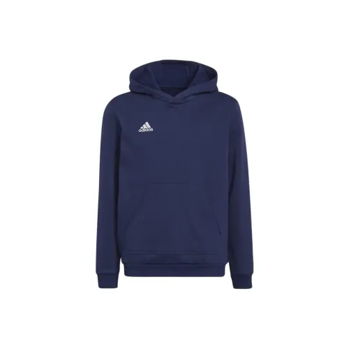 Adidas Свитшот Детская одежда Entrada 22 Sweat Толстовка Синий Детский