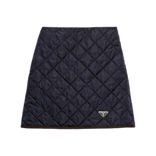 PRADA FW24 Повседневные короткие юбки Женские Синий