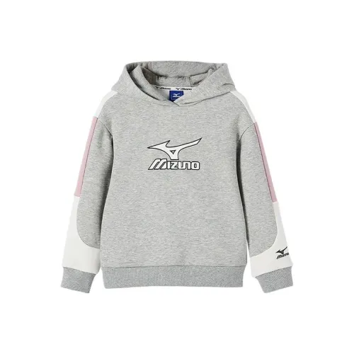 Mizuno Толстовка Детская Фотиния Серый