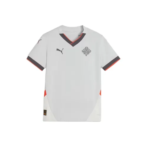 PUMA Iceland T-Shirt Серый Белый Подростки