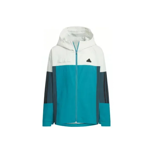 Adidas Куртки Пальто Арктический Синий Слоновая Кость