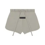 Серый тюлень