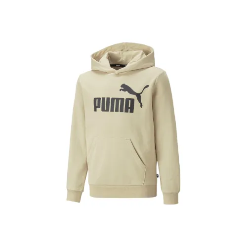 PUMA Свитшот с капюшоном Essentials Big Логотип для детей и подростков Толстовка Детский Экрю