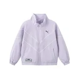 Фиолетовый 70301