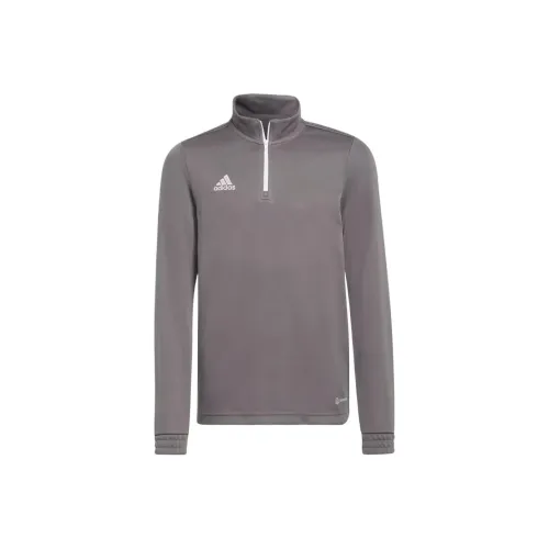 Adidas Куртки Пальто Entrada 22 Серый Подростки