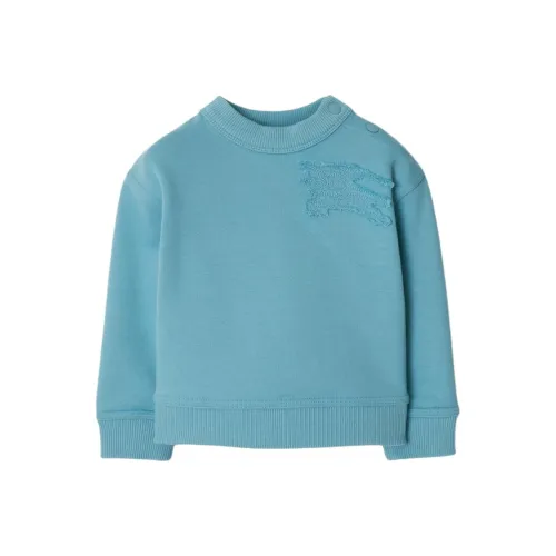 Burberry Морской синий Kids Свитшоты